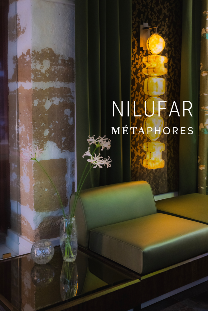 news.nilufar-x-metaphores.name